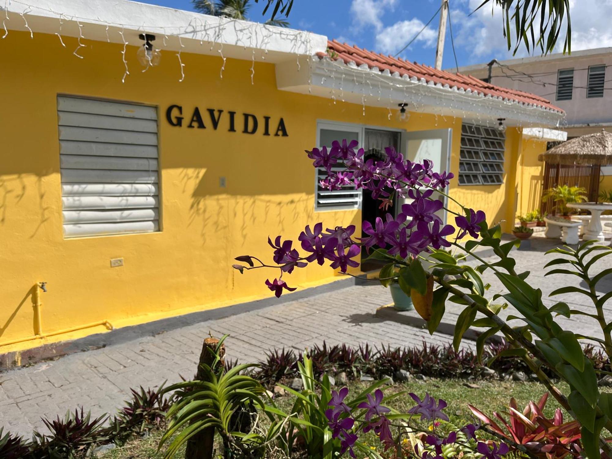 Gavidias Guest House San Lorenzo 외부 사진
